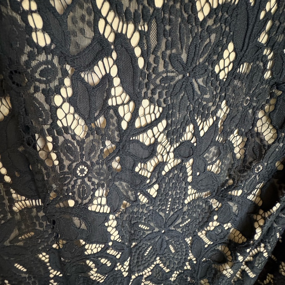 Sharagano Black Lace Overlay Midi Dress with Nude Lining - Picture 5 of 8